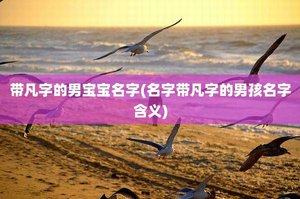 带凡字的男宝宝名字(名字带凡字的男孩名字含义)