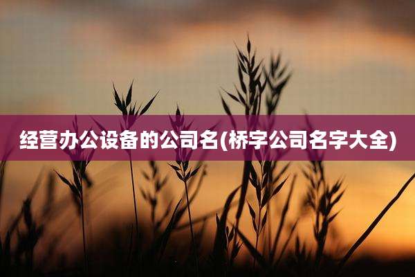 经营办公设备的公司名(桥字公司名字大全)