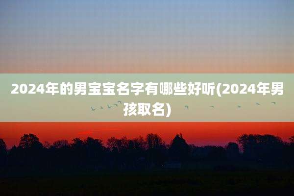 2024年的男宝宝名字有哪些好听(2024年男孩取名)