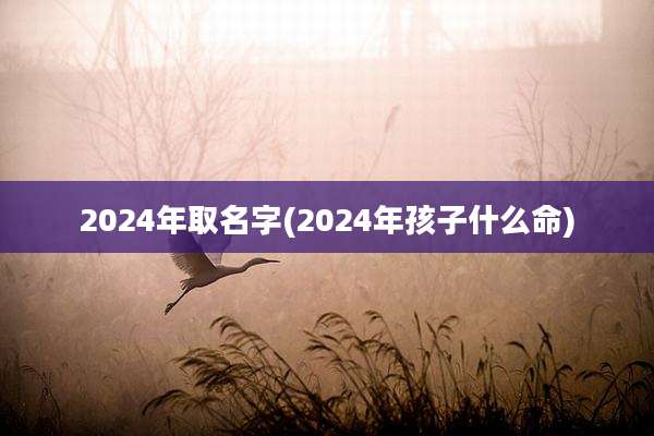 2024年取名字(2024年孩子什么命)