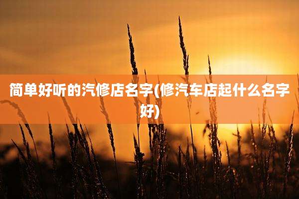 简单好听的汽修店名字(修汽车店起什么名字好)