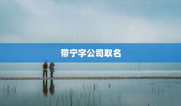 带宁字公司取名