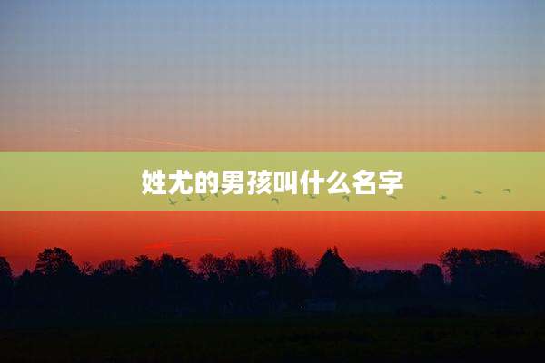 姓尤的男孩叫什么名字