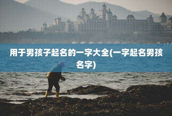 用于男孩子起名的一字大全(一字起名男孩名字)