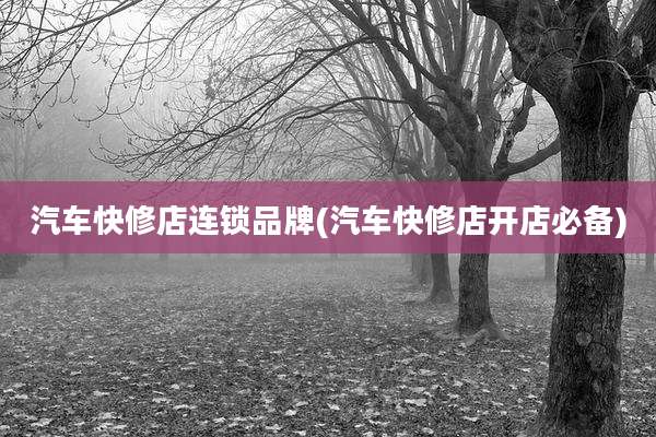 汽车快修店连锁品牌(汽车快修店开店必备)