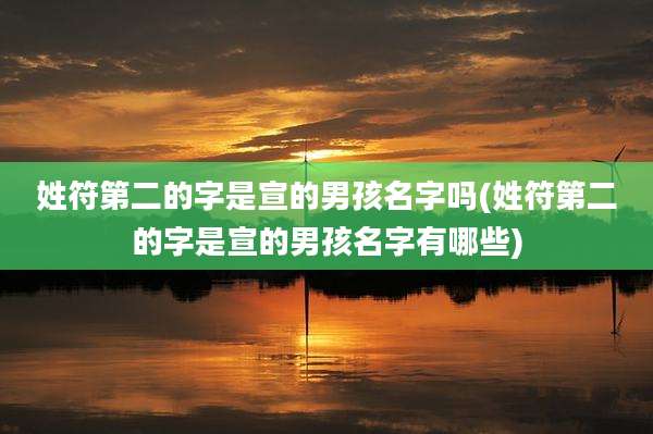 姓符第二的字是宣的男孩名字吗(姓符第二的字是宣的男孩名字有哪些)