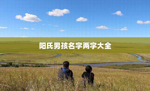 阳氏男孩名字两字大全