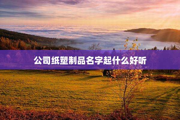 公司纸塑制品名字起什么好听