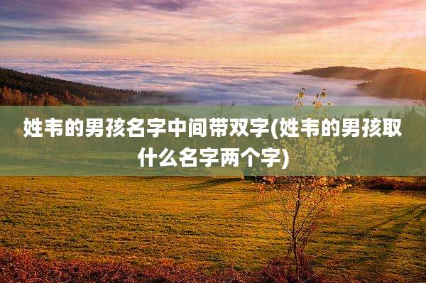 姓韦的男孩名字中间带双字(姓韦的男孩取什么名字两个字)