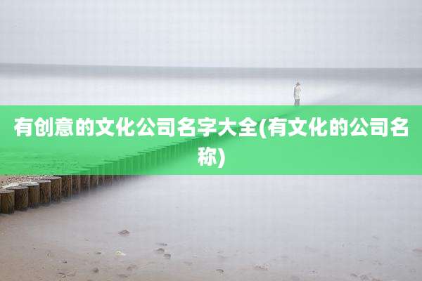 有创意的文化公司名字大全(有文化的公司名称)