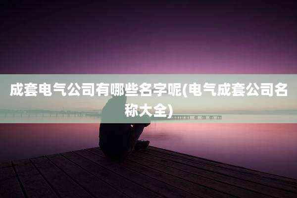成套电气公司有哪些名字呢(电气成套公司名称大全)