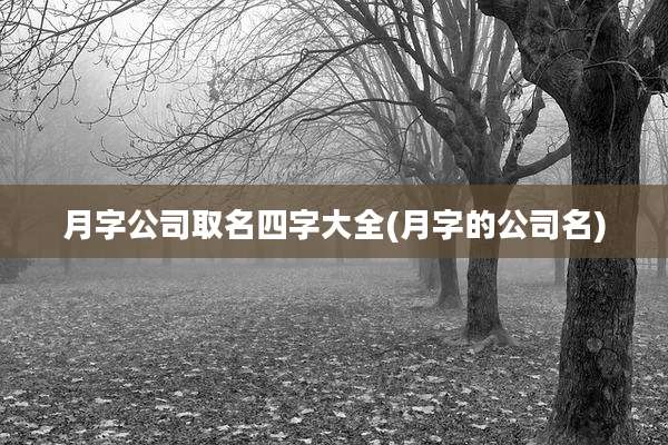 月字公司取名四字大全(月字的公司名)