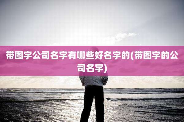 带图字公司名字有哪些好名字的(带图字的公司名字)