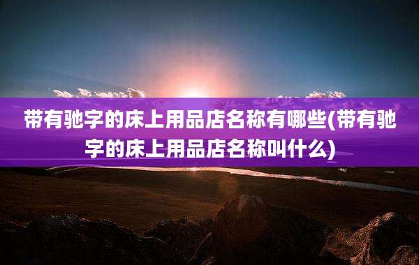 带有驰字的床上用品店名称有哪些(带有驰字的床上用品店名称叫什么)