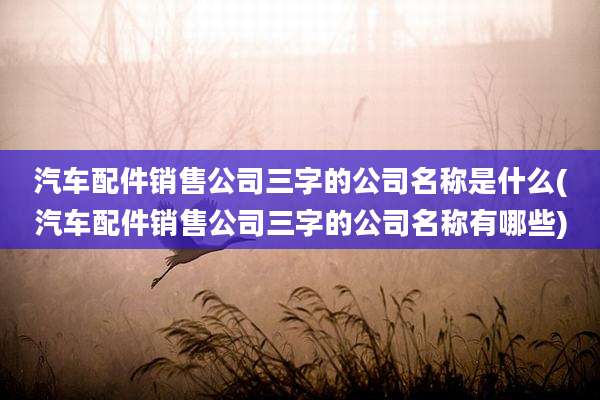 汽车配件销售公司三字的公司名称是什么(汽车配件销售公司三字的公司名称有哪些)