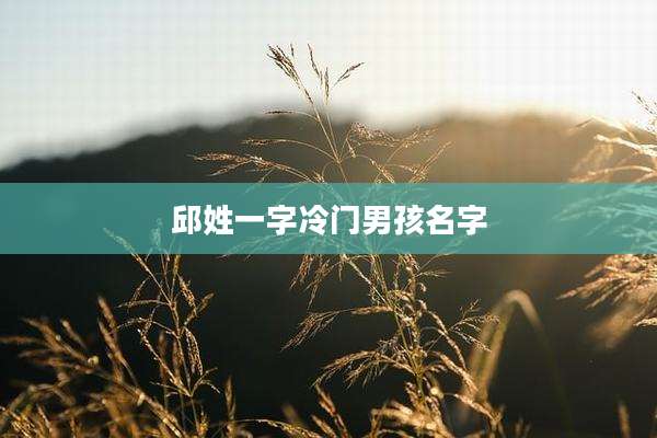 邱姓一字冷门男孩名字