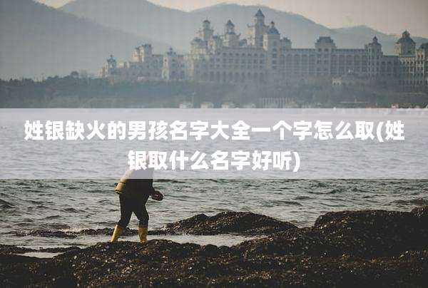 姓银缺火的男孩名字大全一个字怎么取(姓银取什么名字好听)