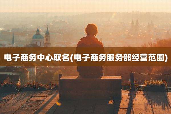 电子商务中心取名(电子商务服务部经营范围)