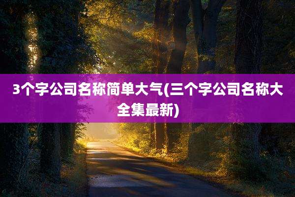 3个字公司名称简单大气(三个字公司名称大全集最新)