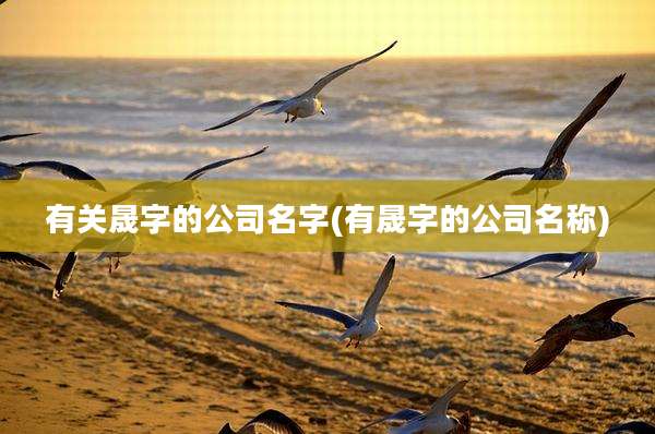 有关晟字的公司名字(有晟字的公司名称)
