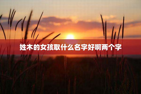 姓木的女孩取什么名字好啊两个字