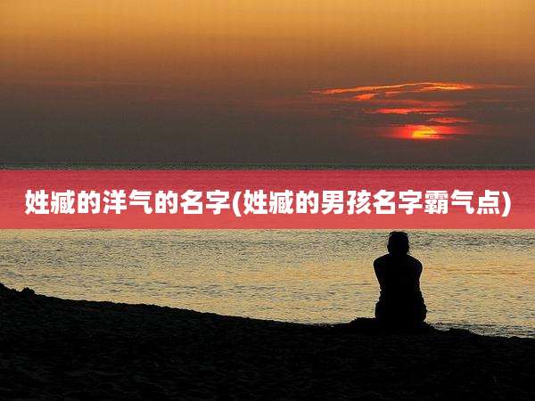 姓臧的洋气的名字(姓臧的男孩名字霸气点)
