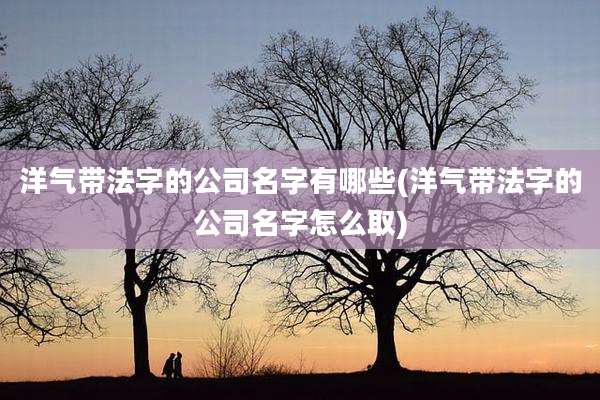 洋气带法字的公司名字有哪些(洋气带法字的公司名字怎么取)