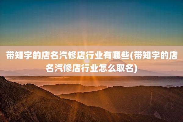 带知字的店名汽修店行业有哪些(带知字的店名汽修店行业怎么取名)