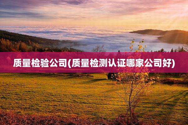 质量检验公司(质量检测认证哪家公司好)