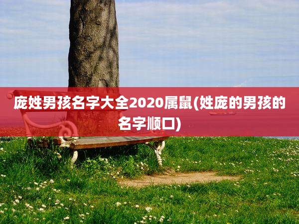 庞姓男孩名字大全2020属鼠(姓庞的男孩的名字顺口)