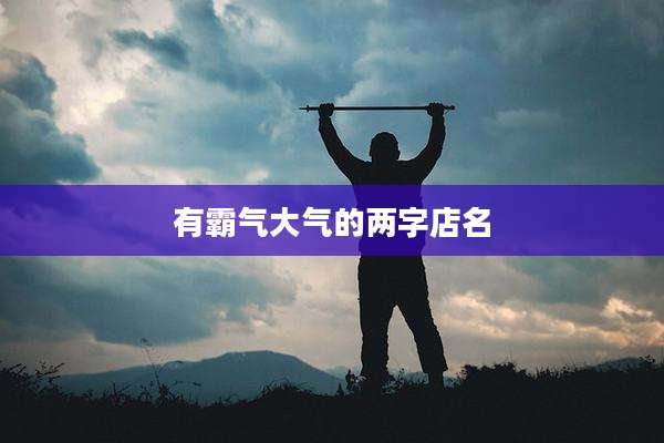 有霸气大气的两字店名