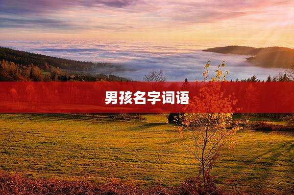 男孩名字词语