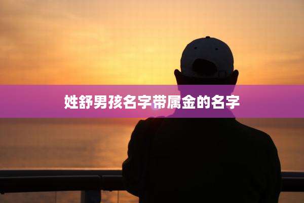 姓舒男孩名字带属金的名字