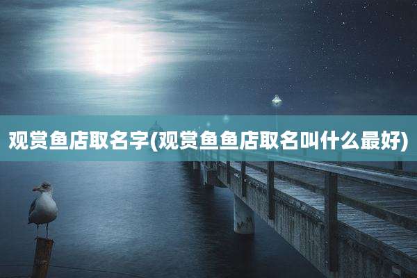 观赏鱼店取名字(观赏鱼鱼店取名叫什么最好)