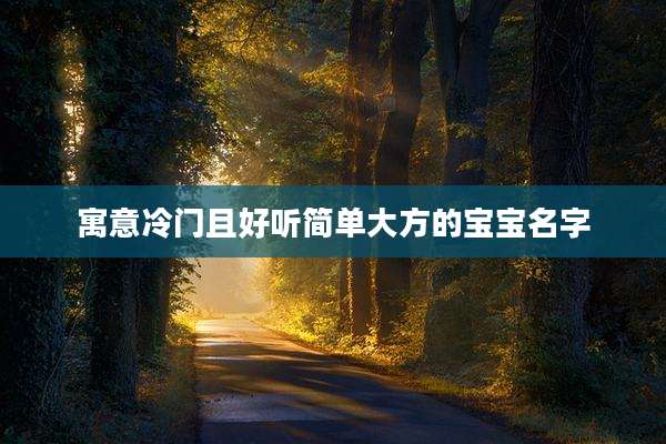 寓意冷门且好听简单大方的宝宝名字