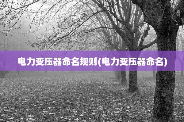 电力变压器命名规则(电力变压器命名)