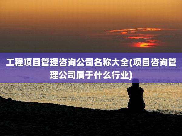 工程项目管理咨询公司名称大全(项目咨询管理公司属于什么行业)