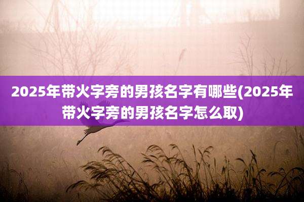2025年带火字旁的男孩名字有哪些(2025年带火字旁的男孩名字怎么取)