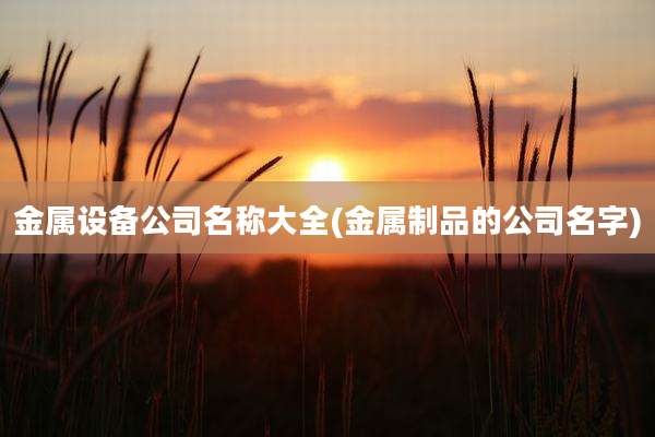 金属设备公司名称大全(金属制品的公司名字)