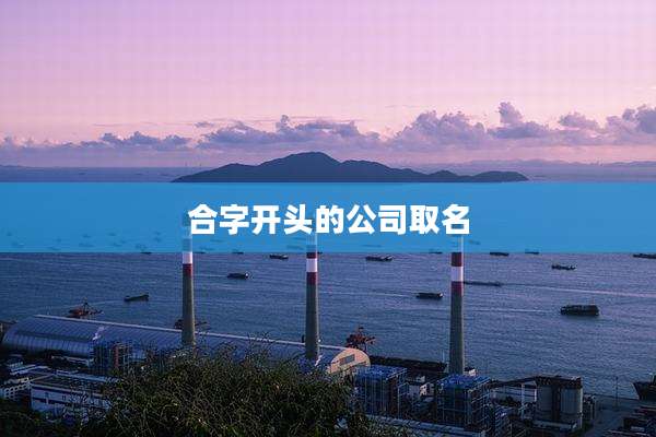 合字开头的公司取名