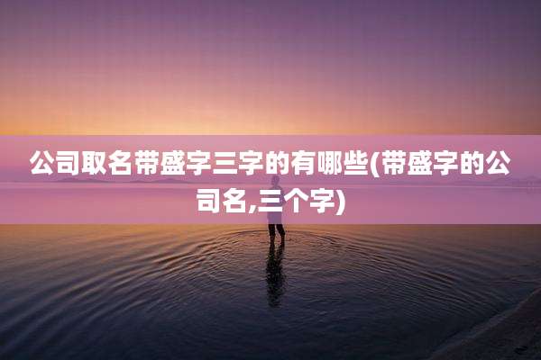 公司取名带盛字三字的有哪些(带盛字的公司名,三个字)