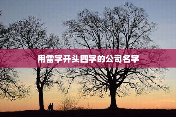 用雷字开头四字的公司名字