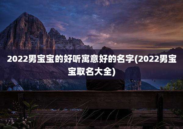 2022男宝宝的好听寓意好的名字(2022男宝宝取名大全)