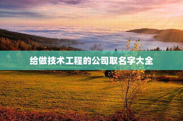 给做技术工程的公司取名字大全
