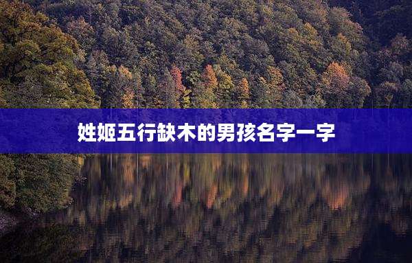 姓姬五行缺木的男孩名字一字