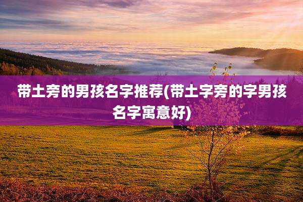 带土旁的男孩名字推荐(带土字旁的字男孩名字寓意好)