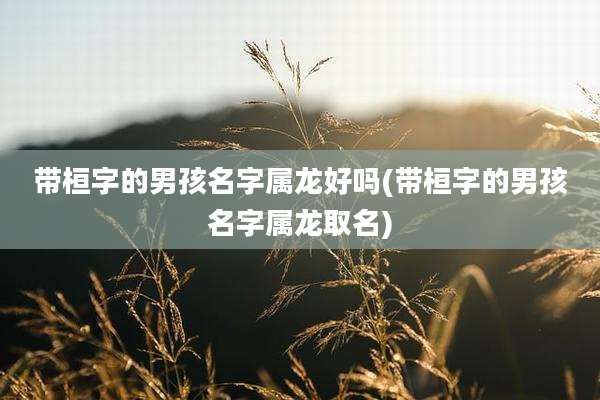 带桓字的男孩名字属龙好吗(带桓字的男孩名字属龙取名)