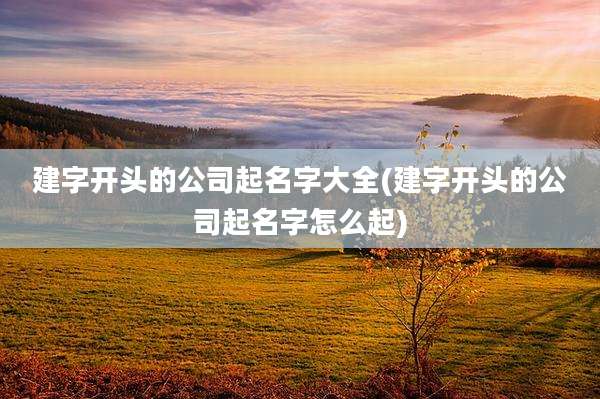 建字开头的公司起名字大全(建字开头的公司起名字怎么起)