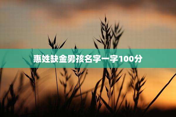 惠姓缺金男孩名字一字100分