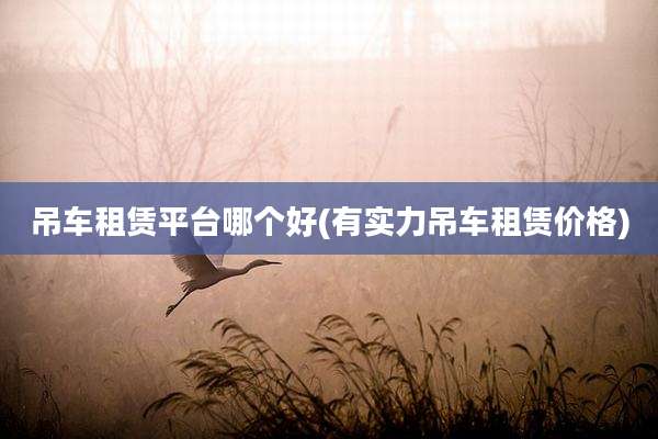 吊车租赁平台哪个好(有实力吊车租赁价格)